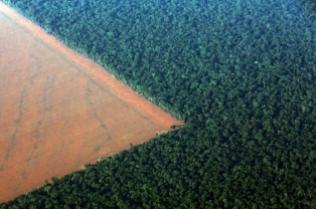 The Amazon rain forest (R), bordered by deforested land prepared for the planting of soybeans, is pictured in this aerial photo taken over Mato Grosso state in western Brazil, October 4, 2015. REUTERS/Paulo Whitaker