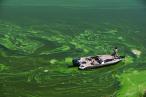 Toxic algal bloom in California's Klamath River