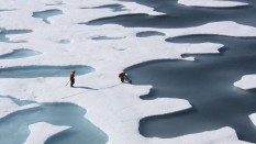 Warm temperatures and winds drove record declines in sea ice at both polar regions