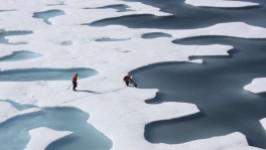 Warm temperatures and winds drove record declines in sea ice at both polar regions